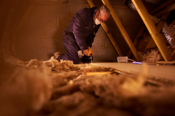 Best Geographic-Specific Insulation Services in St Ignace, MI